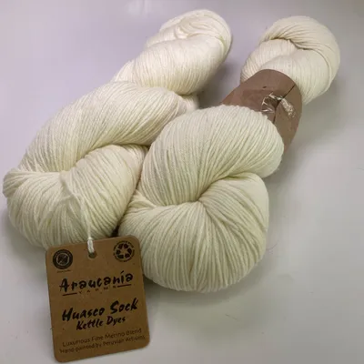 Lot of 2 Araucania Huasco Sock Kettle Dyes Yarn 1000 Raw White Matching Dye Lot