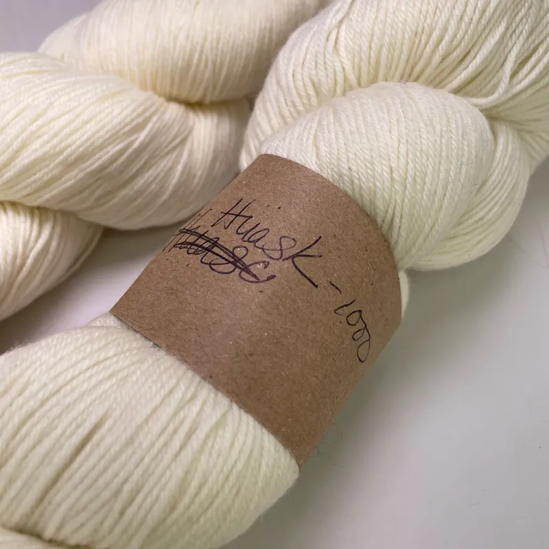 Lot of 2 Araucania Huasco Sock Kettle Dyes Yarn 1000 Raw White Matching Dye Lot