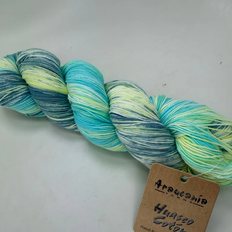 Araucania Huasco Coton Hand Painted Cotton Yarn 100g 481yd 1026 Huancaraylla