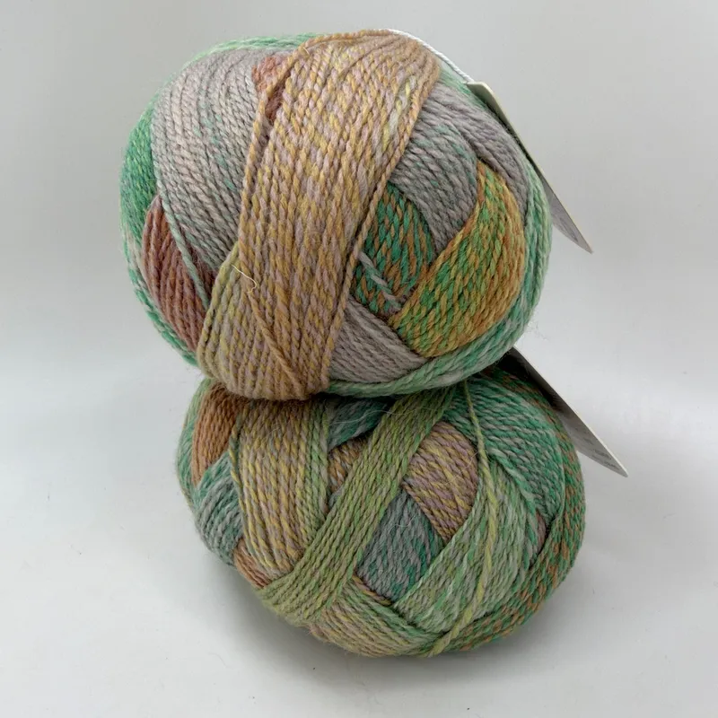 Lot of 2 Ella Rae Color Magic Yarn 512 Falling Leaves Superwash Wool Blend 460yd