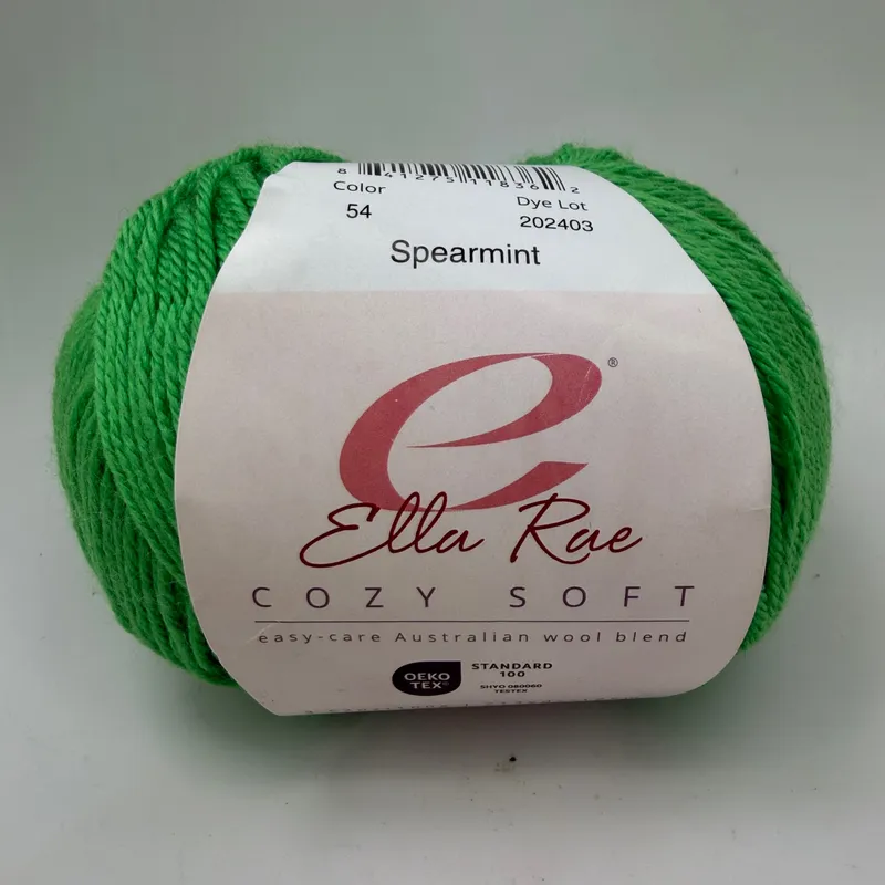 Ella Rae Cozy Soft Yarn Spearmint Color 54 Wool Blend 100g Skein DK Weight