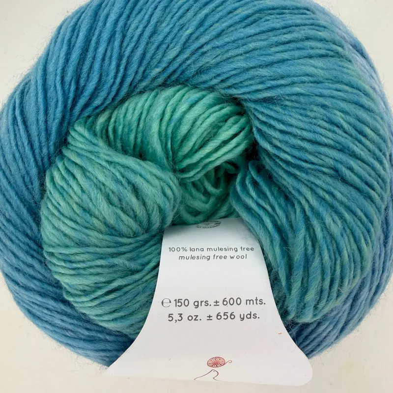 Laines du Nord Poema 100% Wool Gradient Yarn Cake 150g 656 Yd Color 610