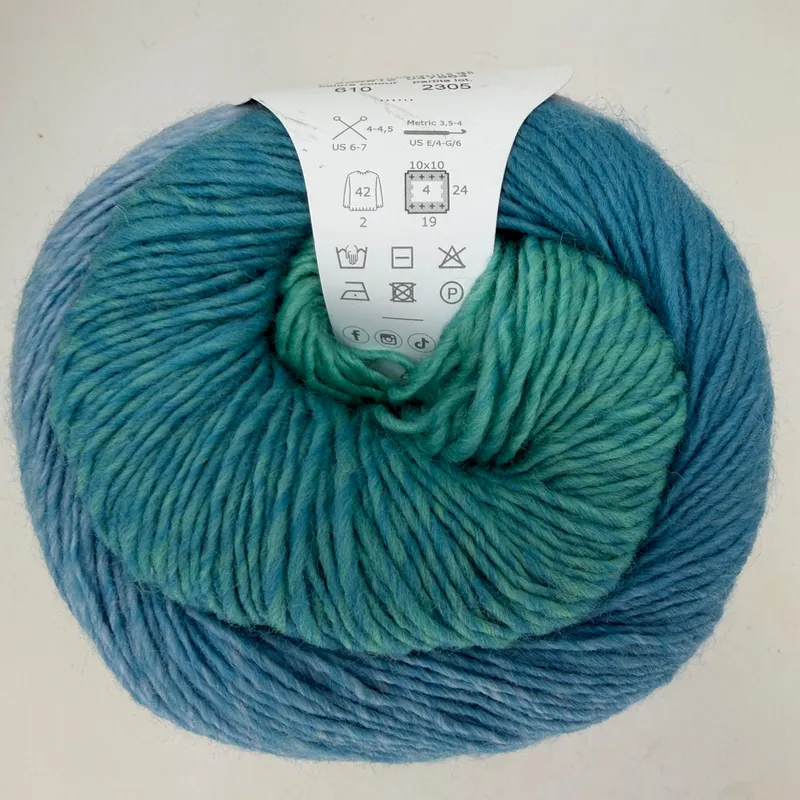 Laines du Nord Poema 100% Wool Gradient Yarn Cake 150g 656 Yd Color 610